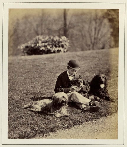 Prince Leopold, later Duke of Albany (1853-84), with dogs