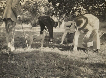 Master: Page 41 of Queen Mary's Album, volume 18, 20 June 1916 to 20 September 1918
Item: Fruit picking at Frogmore, September 1917