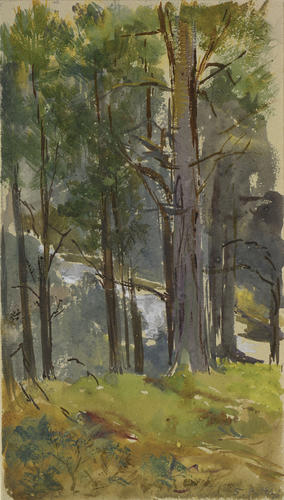 Balmoral Estate: sketch of trees