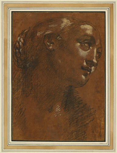 The head of a young woman almost in profile The head of a young woman almost in profile