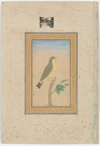 Master: Mughal album of portraits, animals and birds.
Item: Paintings of a yellow hammer bird and a European lady Master: Mughal album of portraits, animals and birds.
Item: Paintings of a yellow hammer bird and a European lady