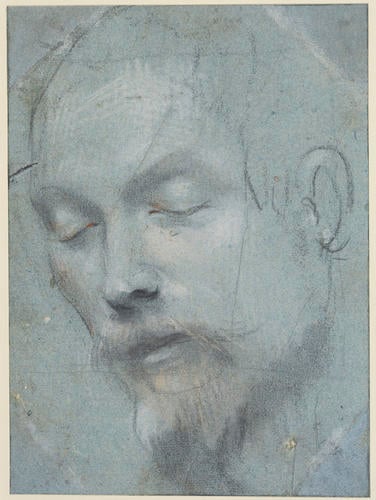 The head of a man with his eyes closed