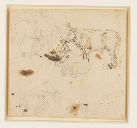 An ox and ass, and other studies of asses