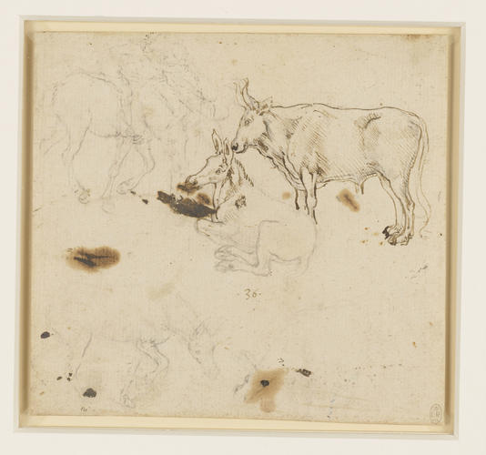 An ox and ass, and other studies of asses An ox and ass, and other studies of asses