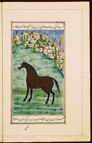 Farasnamah فرسنامه (A Treatise on Horses) and Dawlatnamah دولتنامه (A Treatise on Falcons)