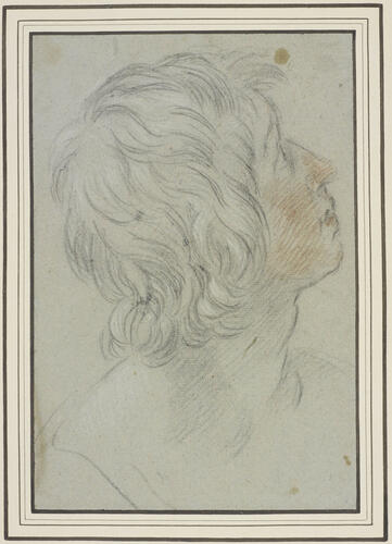The head of a youth