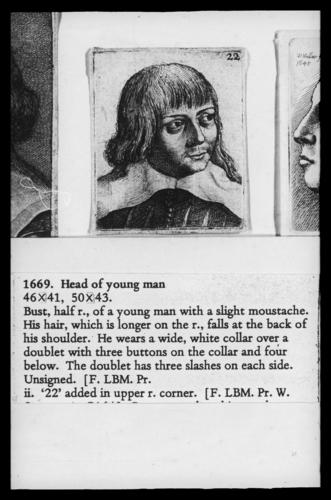 Head of young man Head of young man
