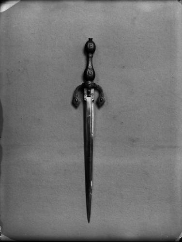 Glass plate negative Glass plate negative
