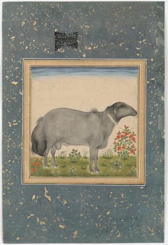 Master: Mughal album of portraits, animals and birds.
Item: Paintings of a dumba ram and Saint Rabia of Basra Master: Mughal album of portraits, animals and birds.
Item: Paintings of a dumba ram and Saint Rabia of Basra