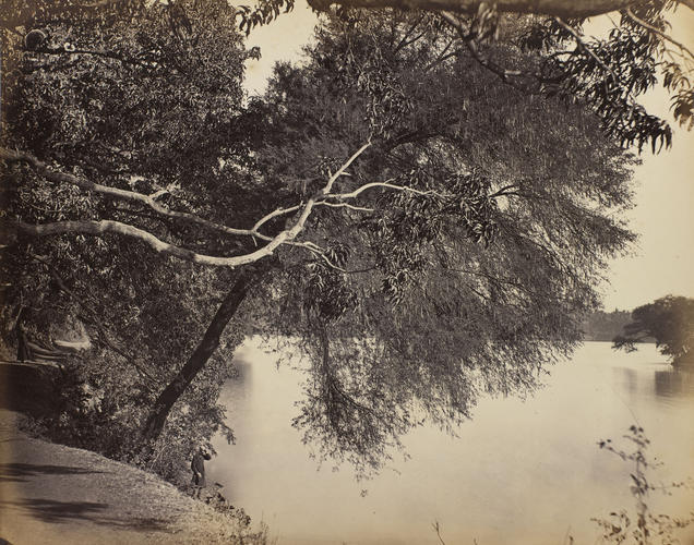 The Lakeside of Saras Baug, Pune The Lakeside of Saras Baug, Pune