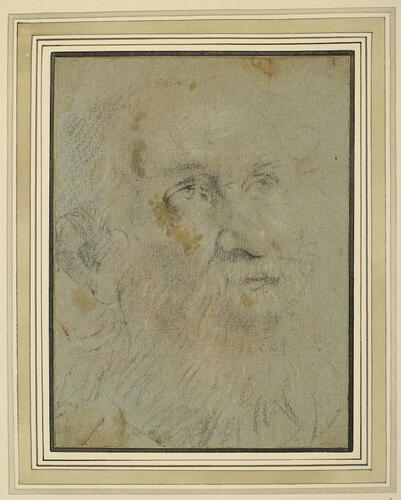 The head of a bearded man The head of a bearded man