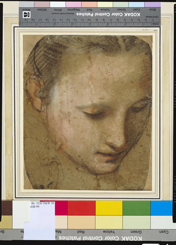 The head of woman