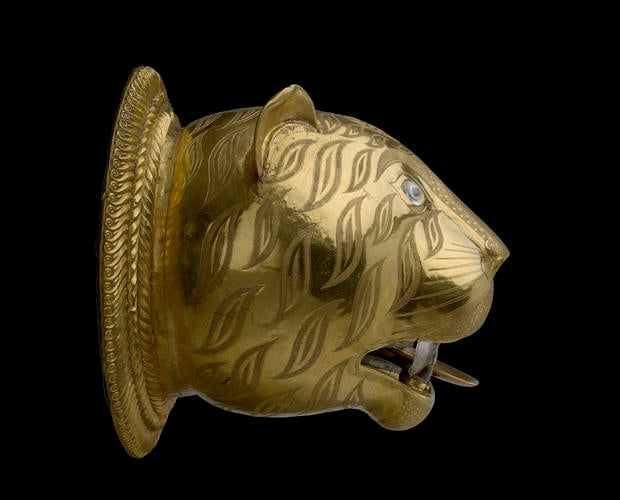 Tiger's head Tiger's head
