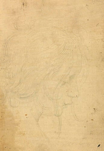 The head of a girl The head of a girl