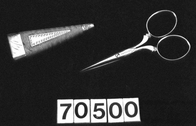 Scissors and case