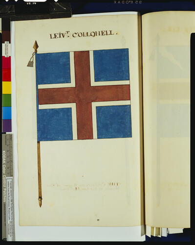 Drawings of the Colours and Standards of the British Army : Tempore James II &c. &c. &c