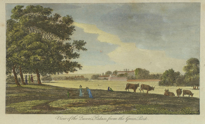 View of the Queen's Palace from Green Park