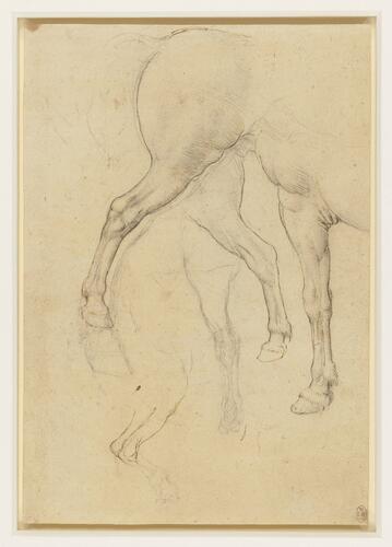 Recto: Horses' legs. Verso: A study of a horse