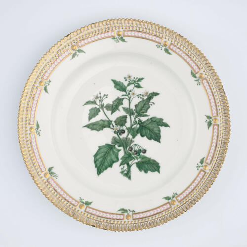 Master: Set of dinner plates
Item: Solanum Nigrum