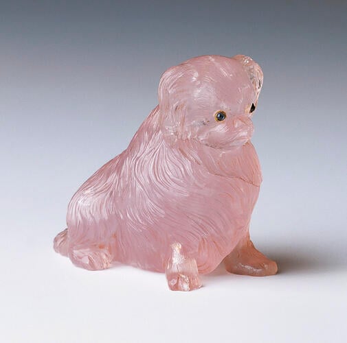 Pekingese