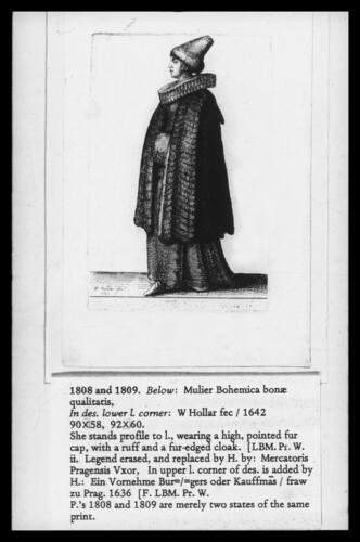 Mulier Bohemica bonae qualitatis Mulier Bohemica bonae qualitatis
