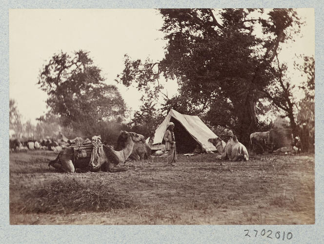 A bit in Camp Terai: Prince of Wales Tour of India 1875-6 (vol. 6) A bit in Camp Terai: Prince of Wales Tour of India 1875-6 (vol. 6)