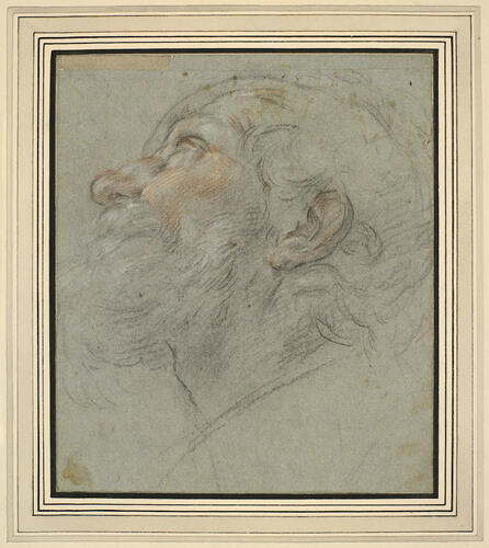 The head of a bearded man The head of a bearded man