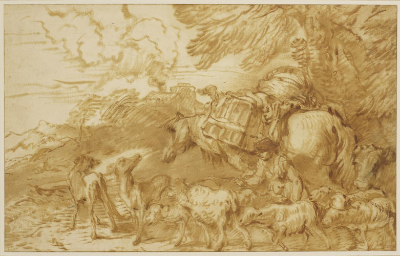 A young shepherd with a flock