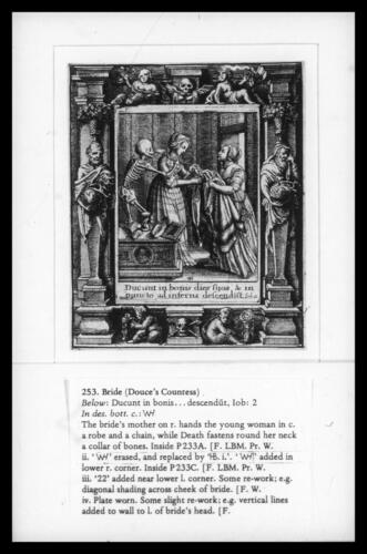 Bridal (Douce's Countess) Bridal (Douce's Countess)