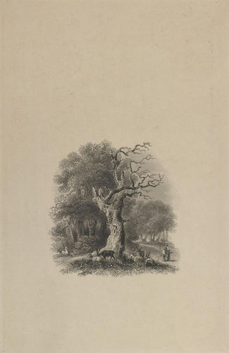 Herne's Oak Herne's Oak