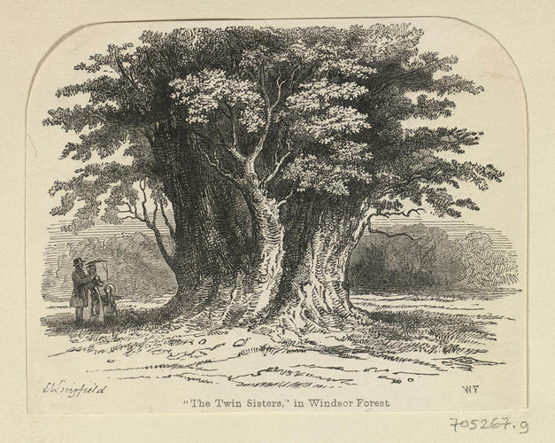 Master: Views of Windsor
Item: 'The Twin Sisters' in Windsor Forest