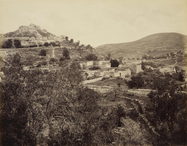 Castle at Safed [Zafat, Galilee]