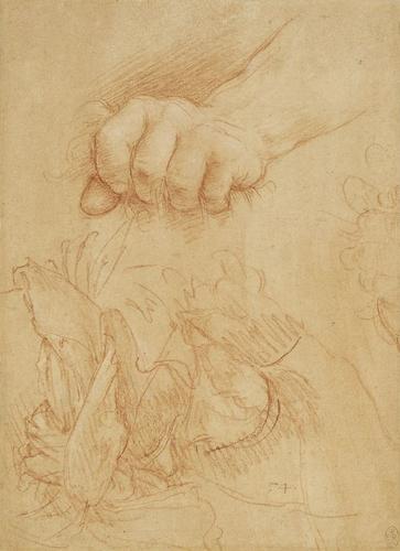 A study of a left hand and wrist