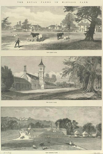 The Royal Farms in Windsor Park: The Home Farm; The Dairy Farm; The Flemish Farm The Royal Farms in Windsor Park: The Home Farm; The Dairy Farm; The Flemish Farm