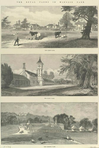 The Royal Farms in Windsor Park: The Home Farm; The Dairy Farm; The Flemish Farm