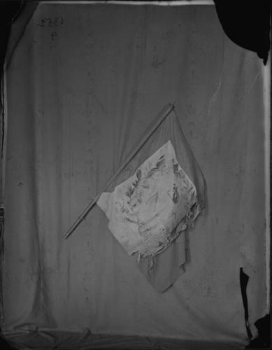 Glass plate negative Glass plate negative