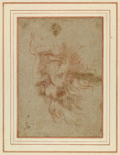 The face of a bearded man The face of a bearded man