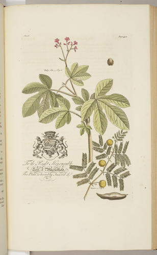 The Natural history of Barbados, in ten books / by Rev. Griffith Hughes The Natural history of Barbados, in ten books / by Rev. Griffith Hughes