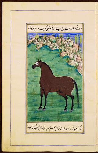 Farasnamah فرسنامه (A Treatise on Horses) and Dawlatnamah دولتنامه (A Treatise on Falcons)