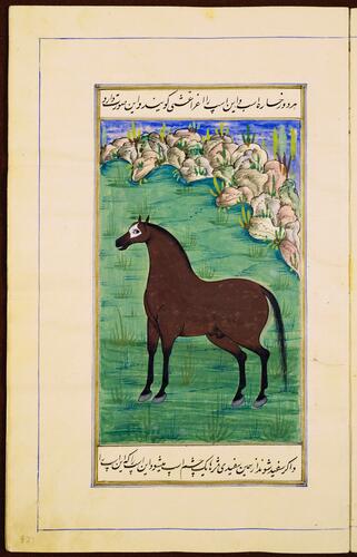 Farasnamah فرسنامه (A Treatise on Horses) and Dawlatnamah دولتنامه (A Treatise on Falcons) Farasnamah فرسنامه (A Treatise on Horses) and Dawlatnamah دولتنامه (A Treatise on Falcons)
