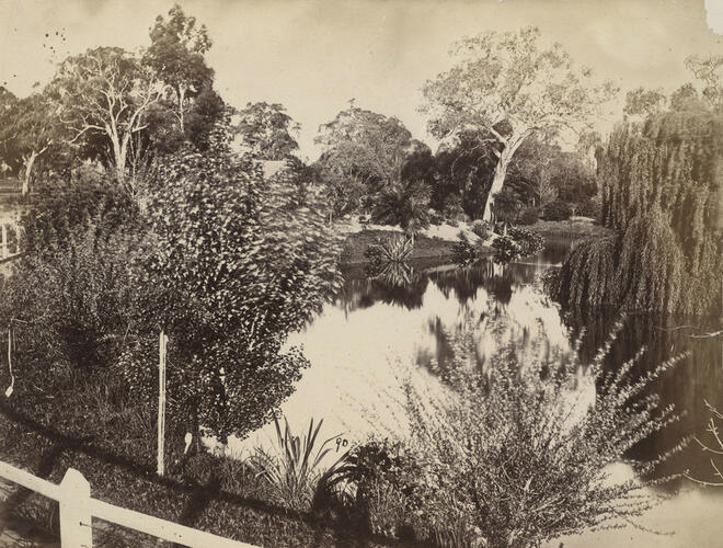 The Cruise of HMS Bacchante 1879-1882: Adelaide Botanic Gardens
