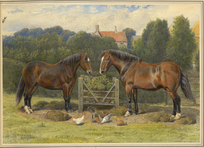 Albin and Saxon, Horses of the Clydesdale breed at Barton. 1866