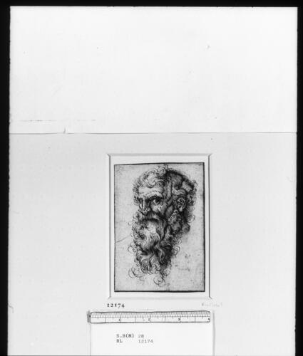 The head of a bearded man, facing left