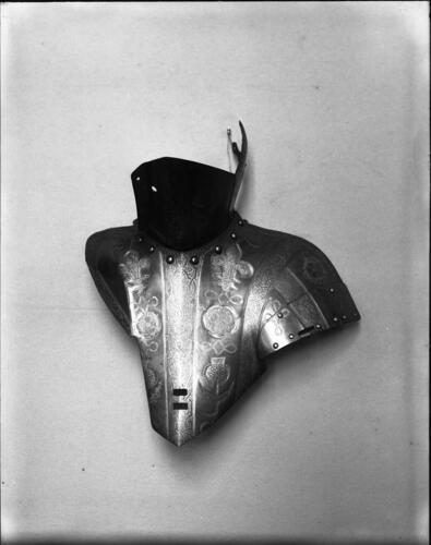 Glass plate negative Glass plate negative