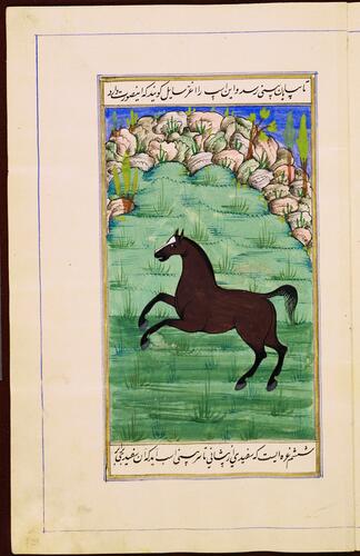 Farasnamah فرسنامه (A Treatise on Horses) and Dawlatnamah دولتنامه (A Treatise on Falcons)