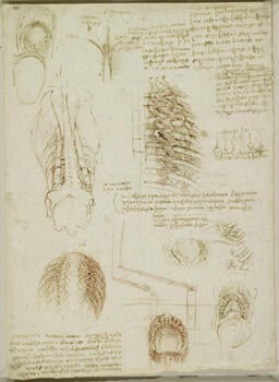 Notes on floating, and the action of water on the earth (recto); The thoracic and abdominal cavities of an ox (verso)