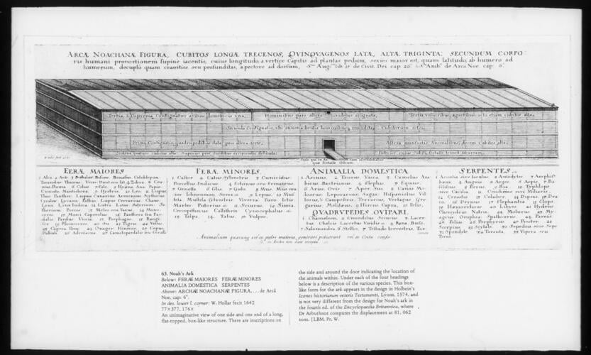 Noah's Ark Noah's Ark
