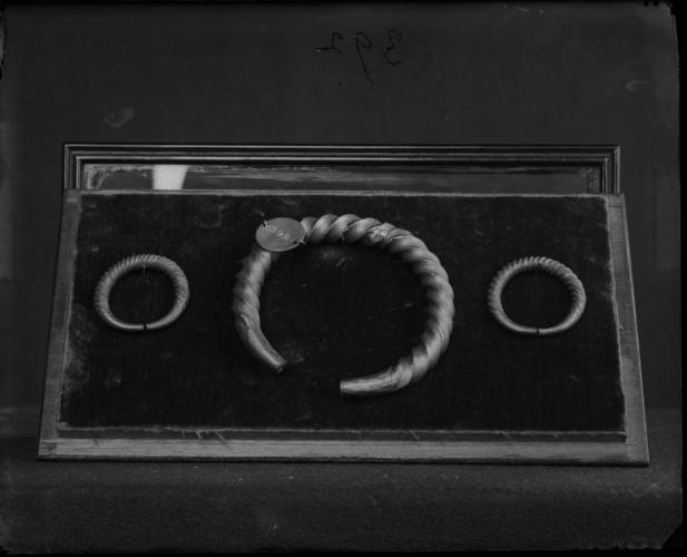 Glass plate negative Glass plate negative