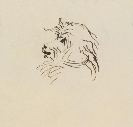 Master: Princes' and Princesses' drawings: Album 7
Item: Head of a dog Master: Princes' and Princesses' drawings: Album 7
Item: Head of a dog