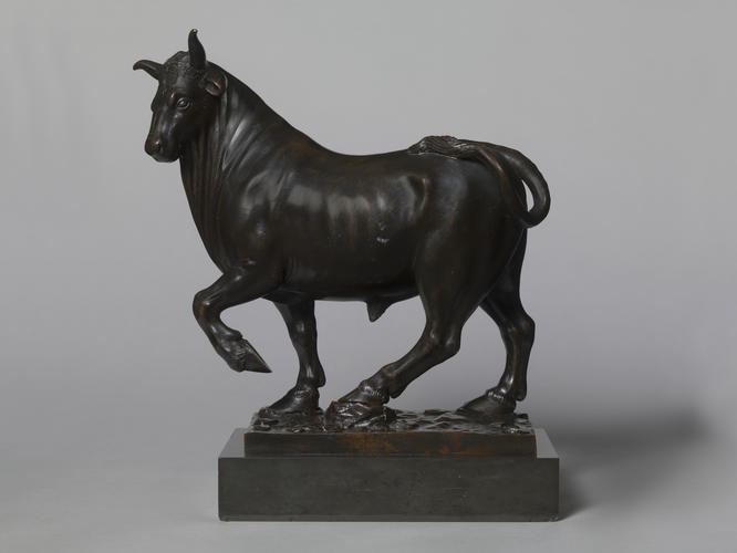Bull